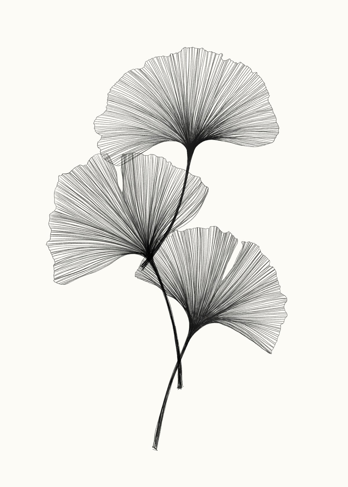Ginkgo Line Wall Mural in your room — zoomed