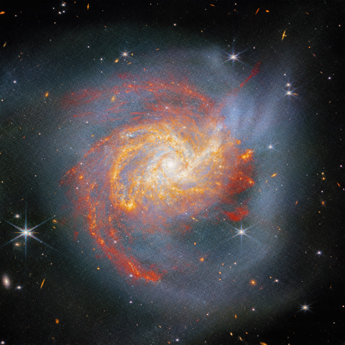 Stellar Canvas Wall Mural in your room