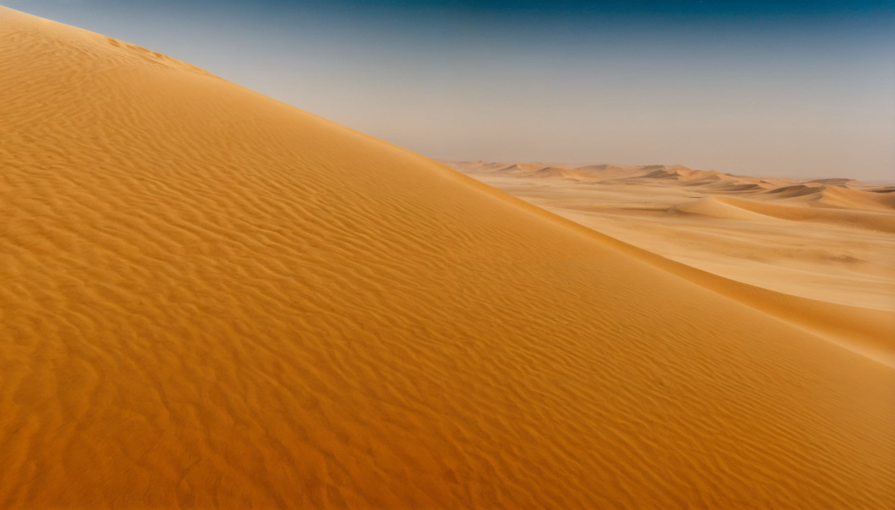Desert Dune Dreams Wall Mural