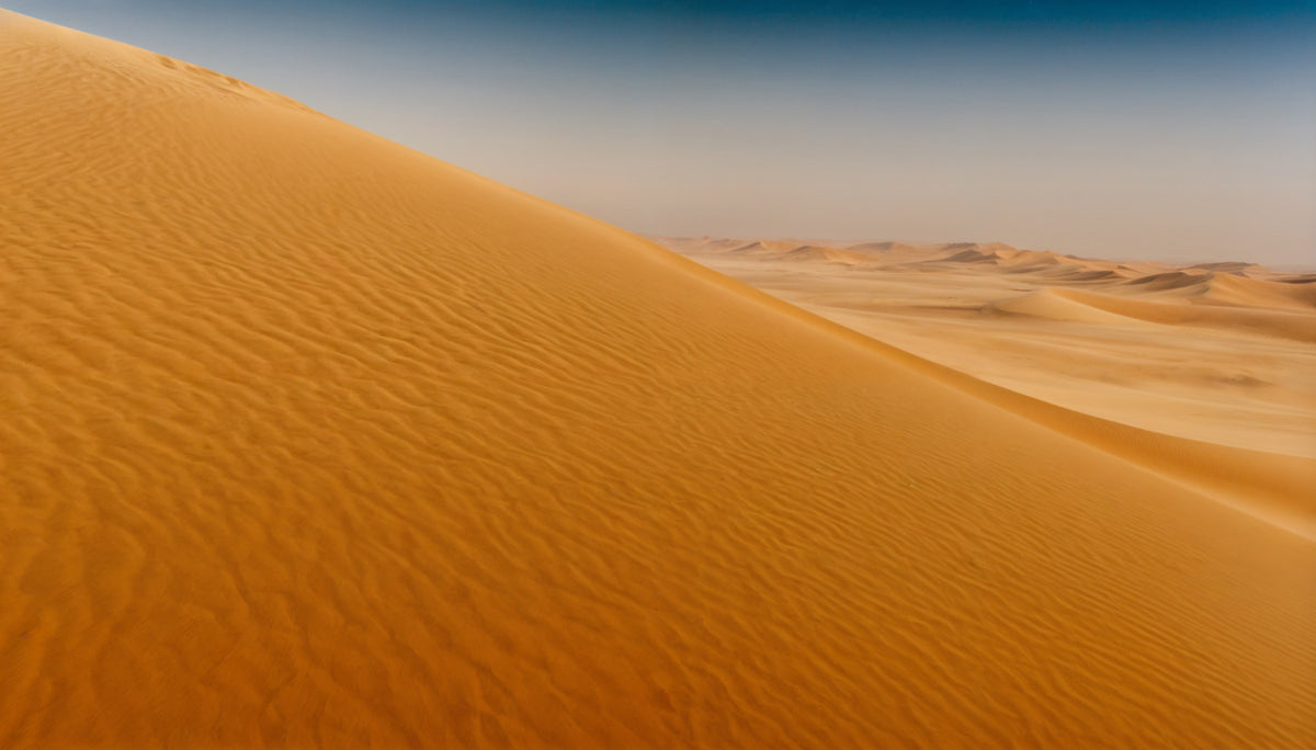Desert Dune Dreams Wall Mural in your room — zoomed