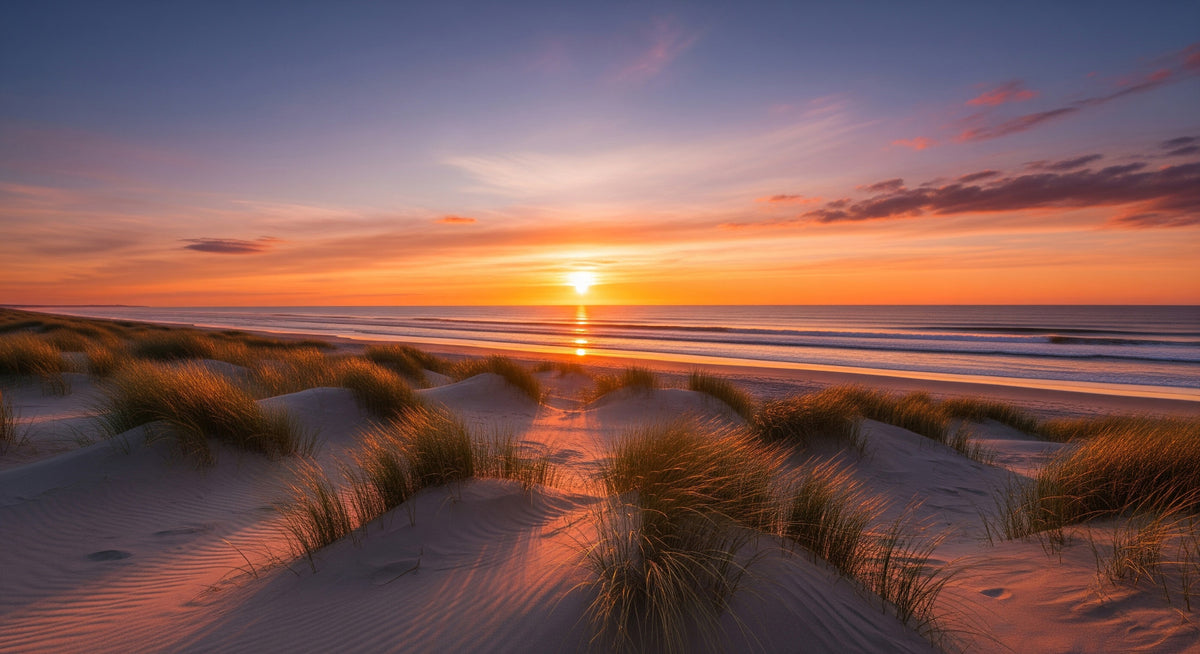 Golden Dune Dawn Wall Mural in your room