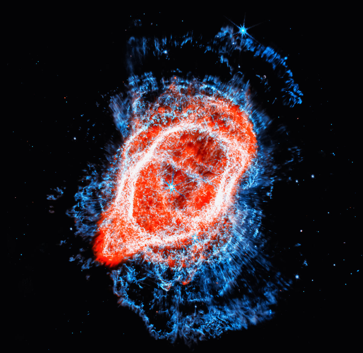 Cosmic Bloom Wall Mural in your room — zoomed
