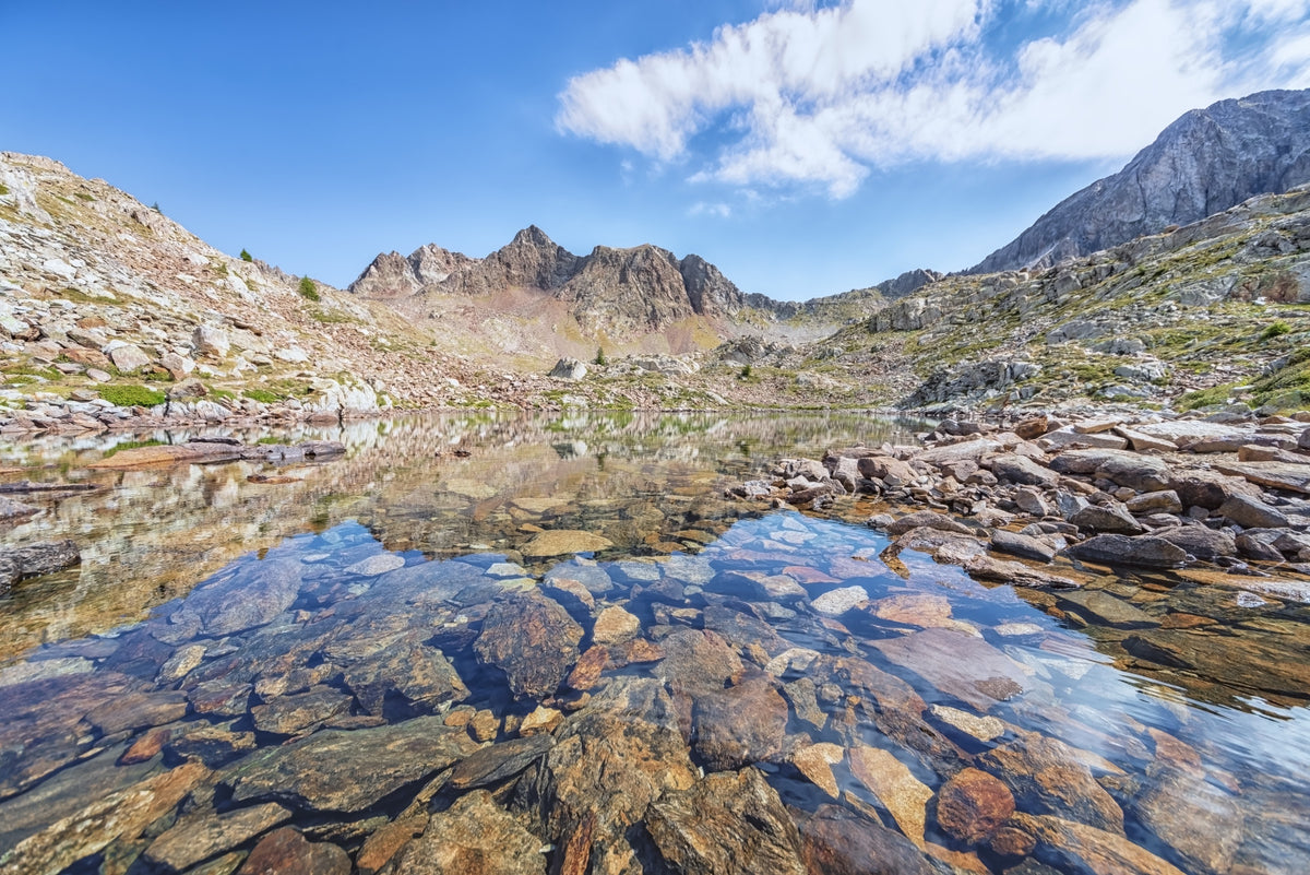Alpine Serenity Wall Mural in your room — zoomed