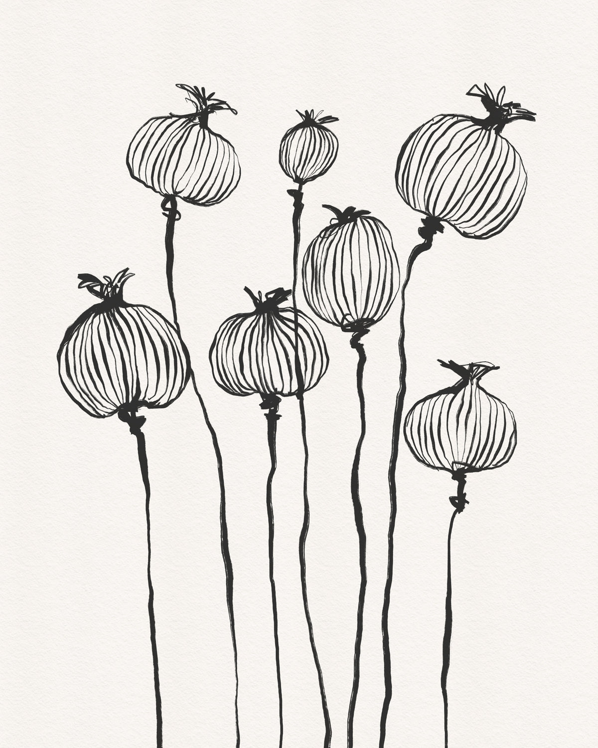 Ink Poppy Pods Wall Mural in your room — zoomed