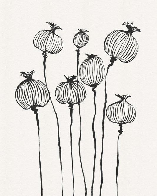 Ink Poppy Pods Wall Mural
