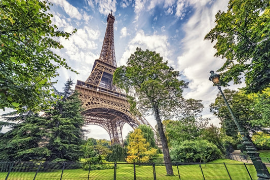 Eiffel Tower Greens Wall Mural