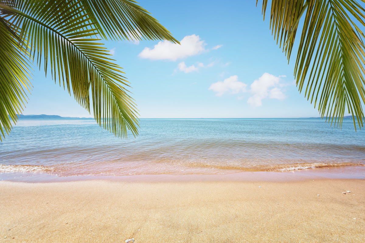 Tropical Shore Wall Mural