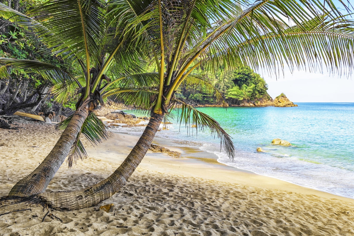 Tropical Beach Escape Wall Mural in your room