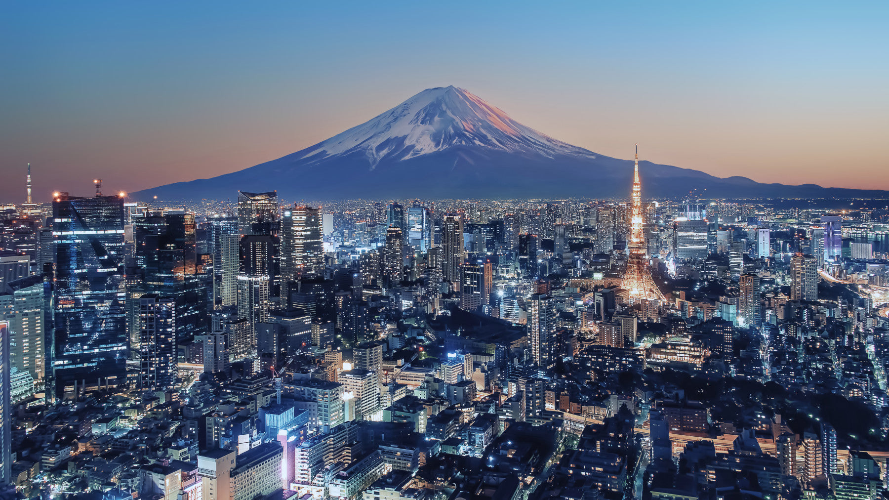 Tokyo Twilight Wall Mural