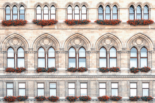 Vienna Facade Wall Mural