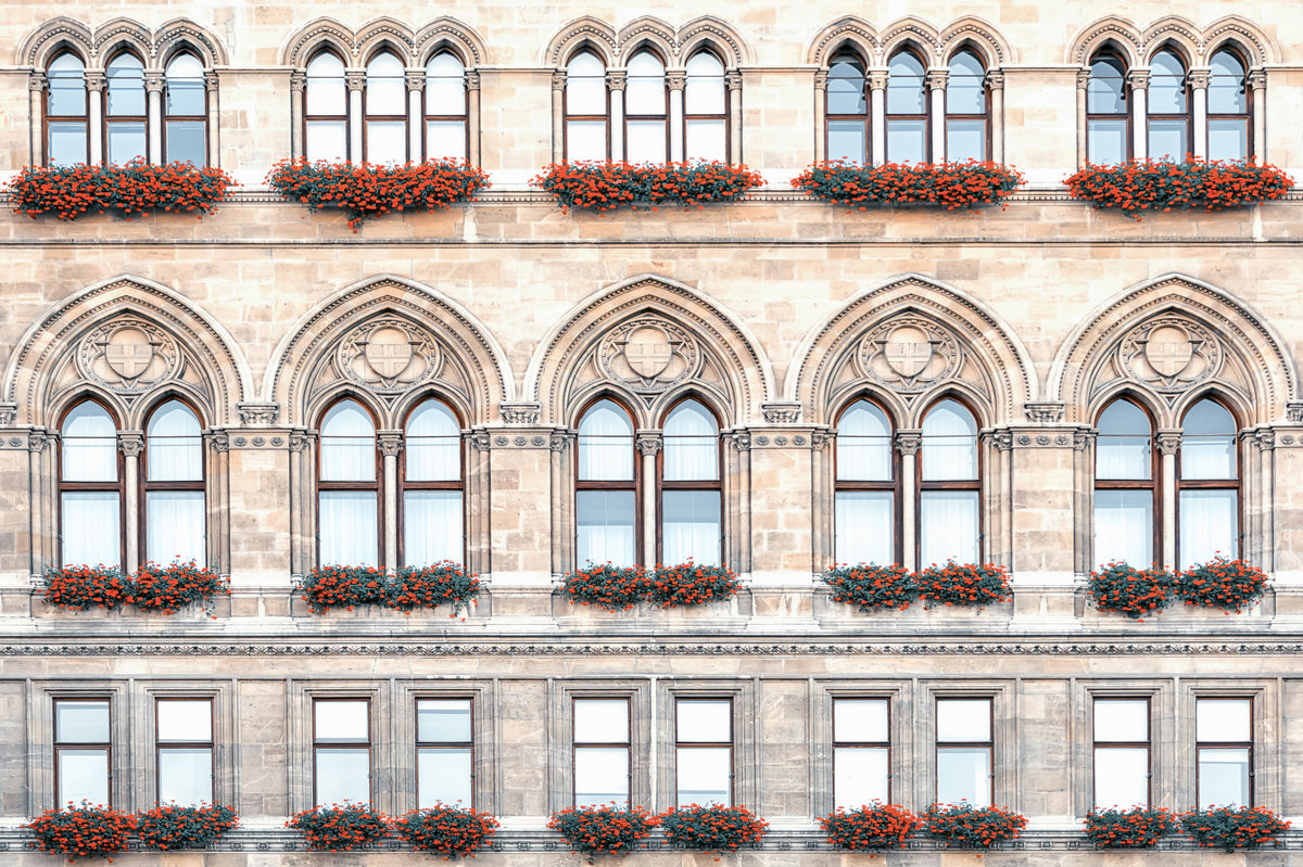 Vienna Facade Wall Mural