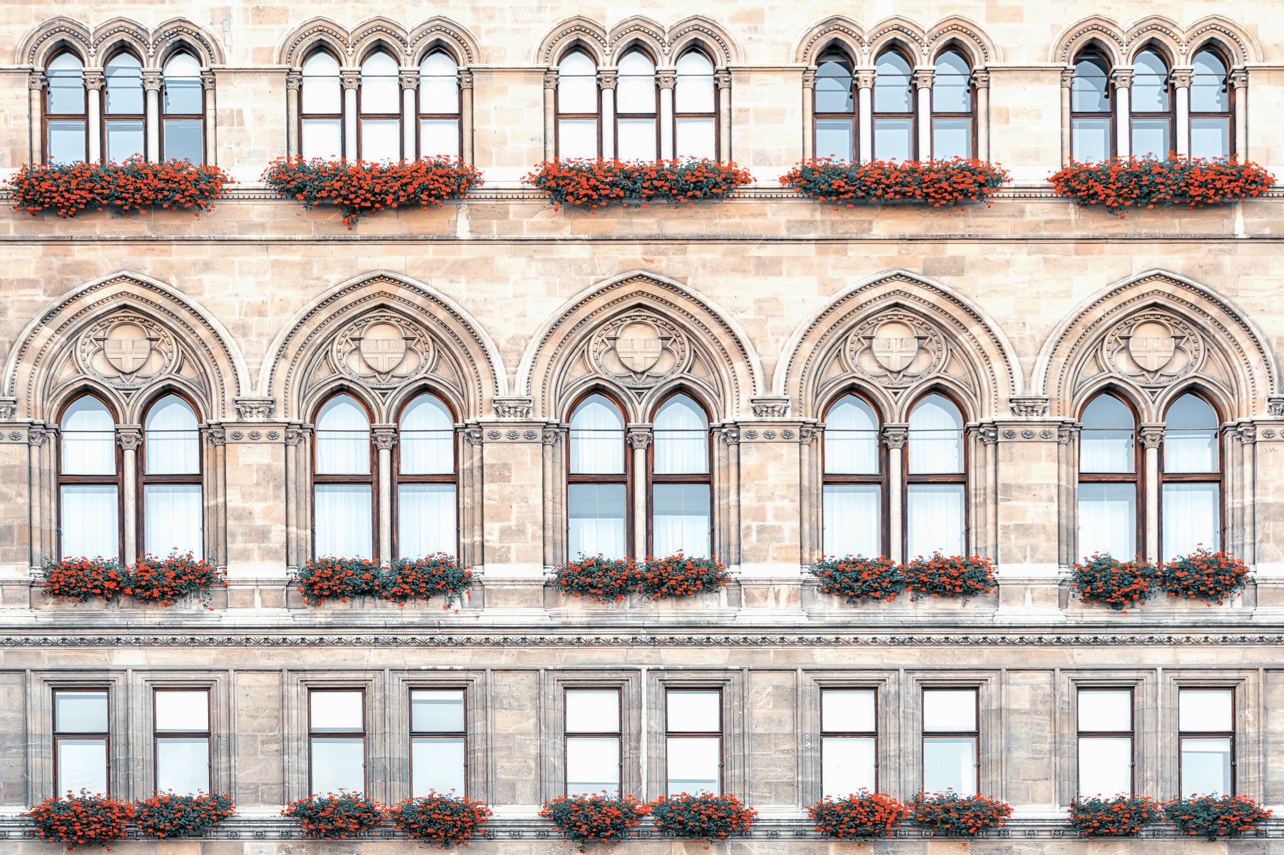 Vienna Facade Wall Mural in your room — zoomed