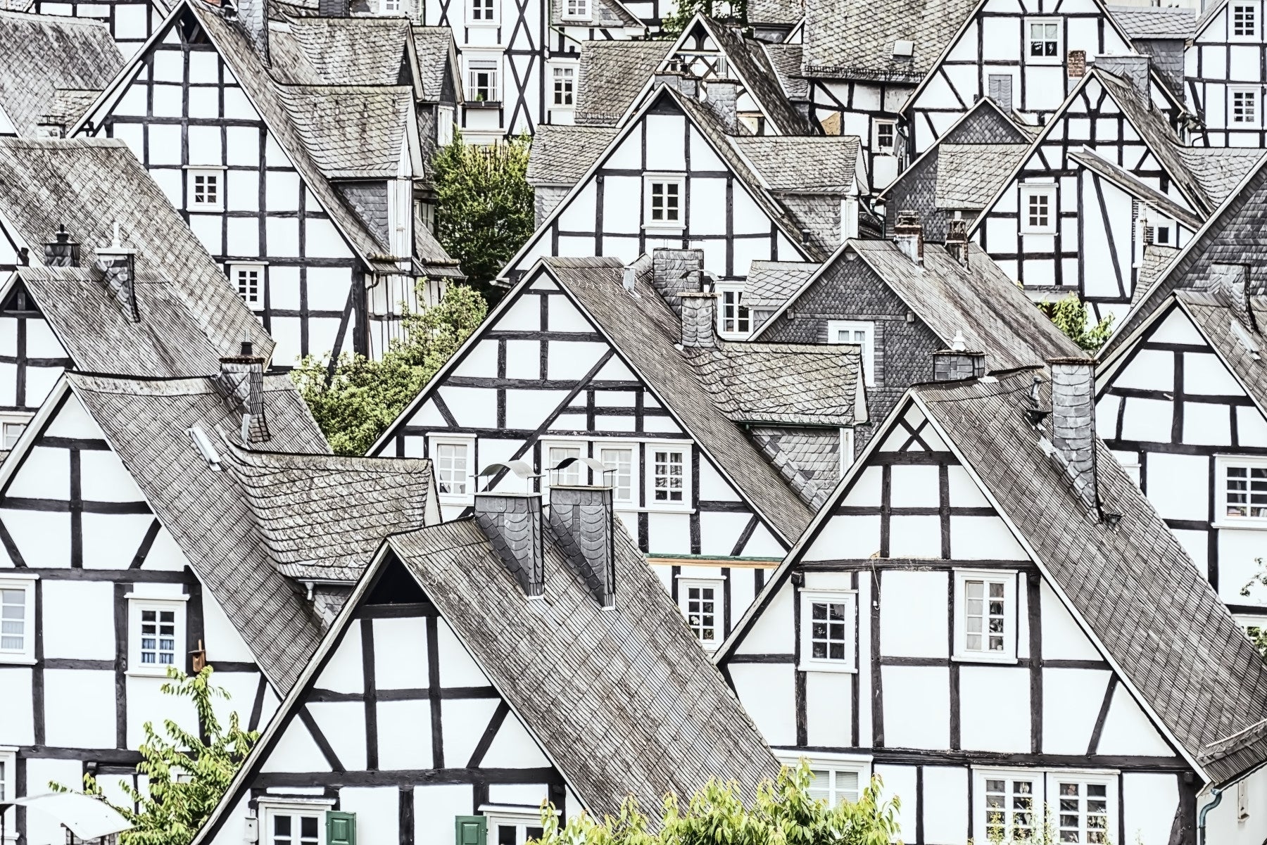 Half-Timbered Haven Wall Mural