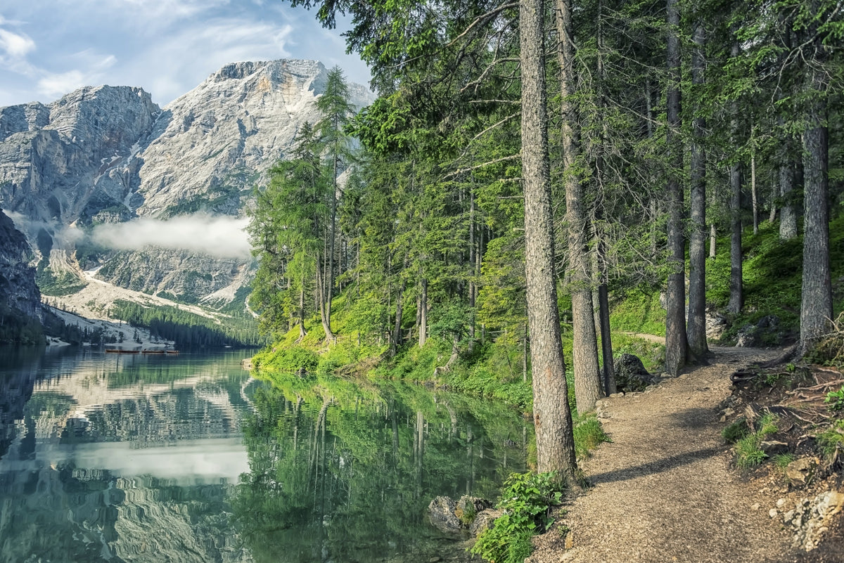 South Tyrol Landscape Wall Mural in your room