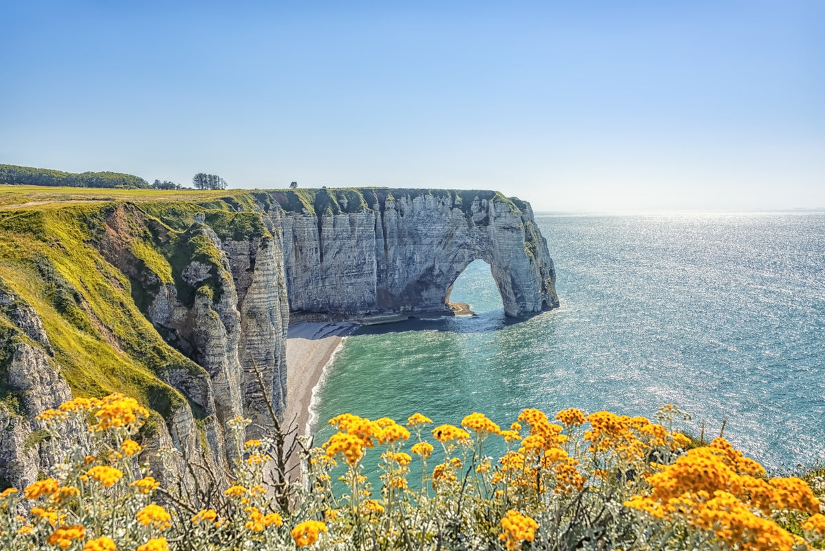 Etretat's Yellow Bloom Wall Mural in your room — zoomed