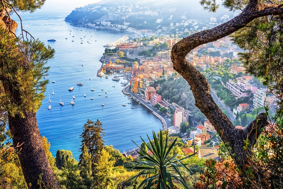 Riviera Vista Wall Mural in your room — zoomed