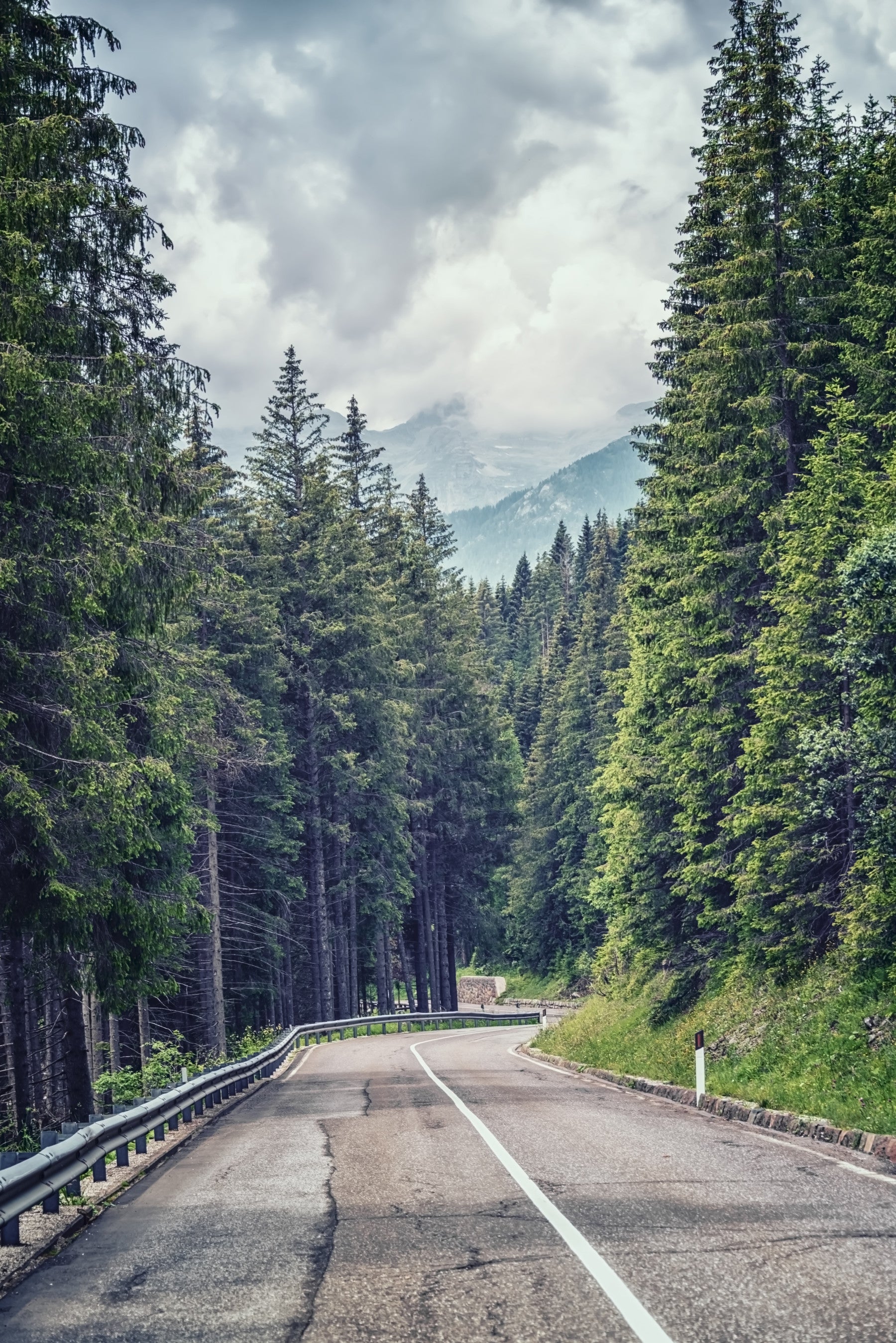 Mountain Road Vista Wall Mural