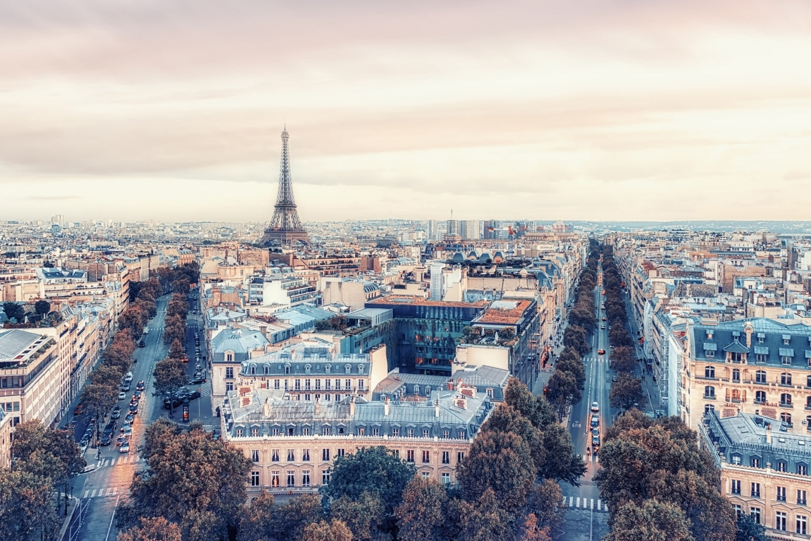 Eiffel Tower View Wall Mural
