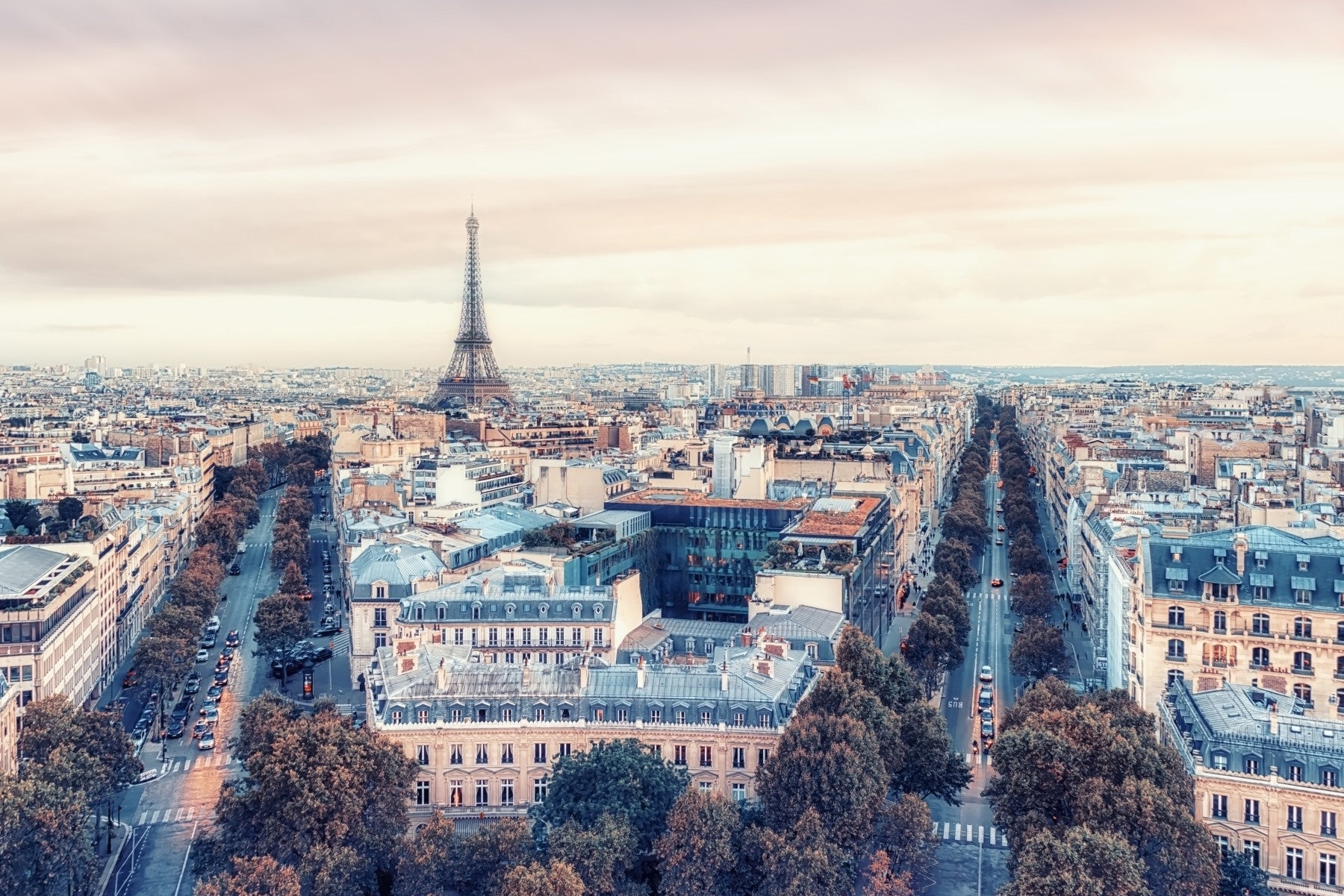 Eiffel Tower View Wall Mural in your room — zoomed