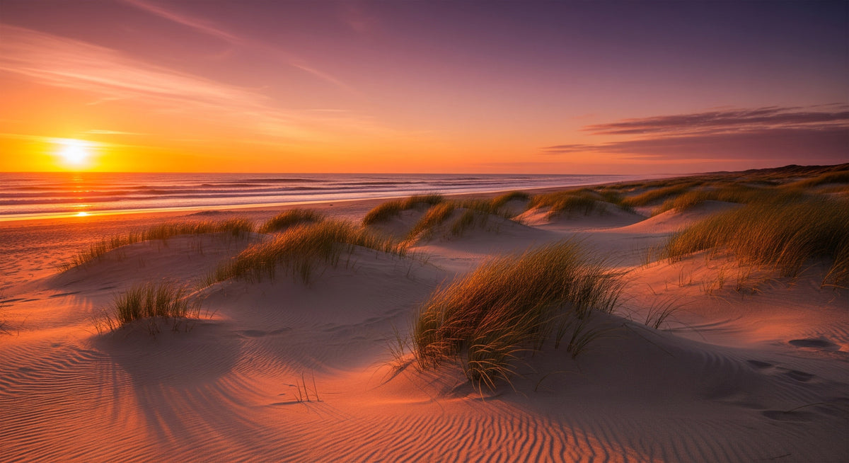Golden Hour Dunes Wall Mural in your room — zoomed