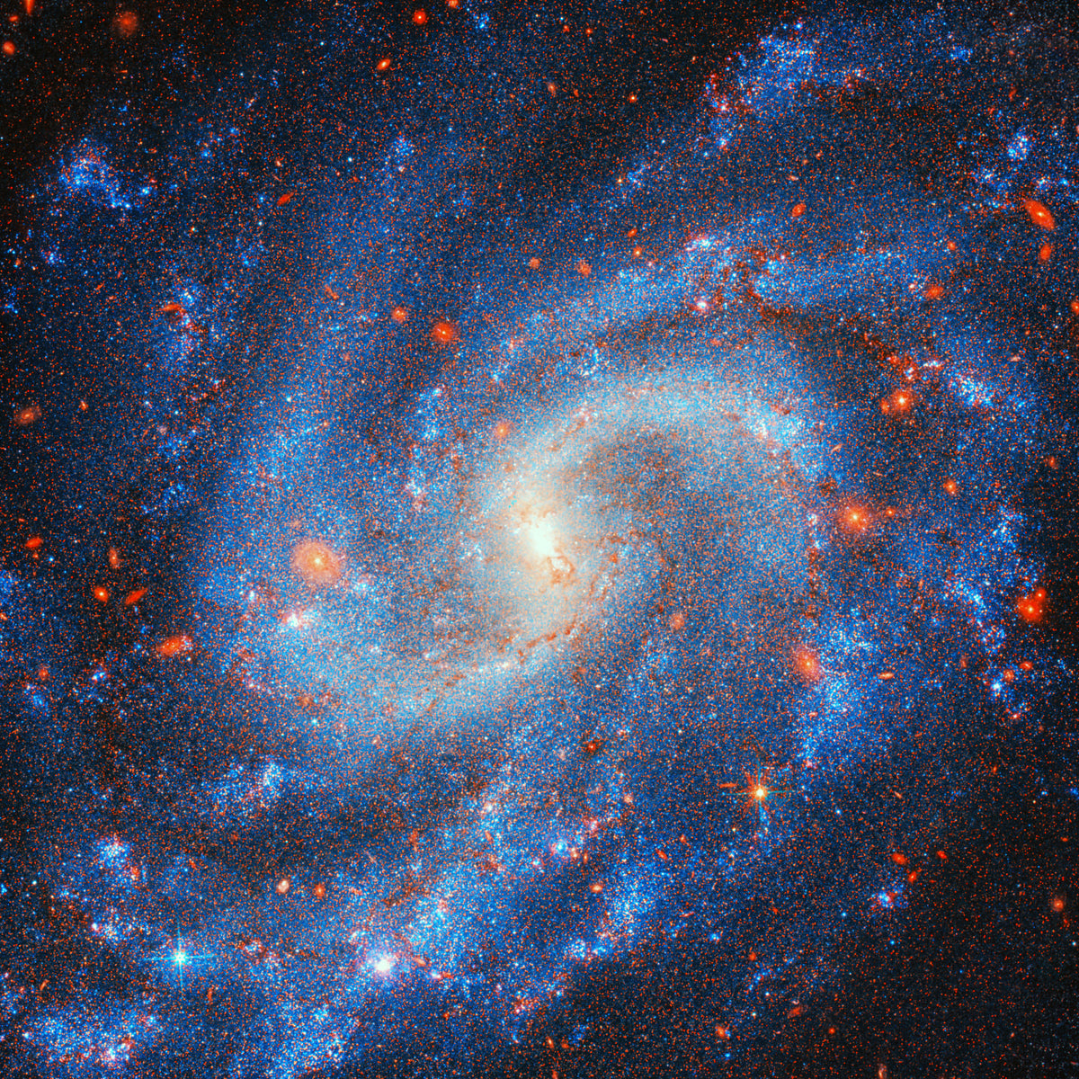 Distant Starfield Wall Mural in your room
