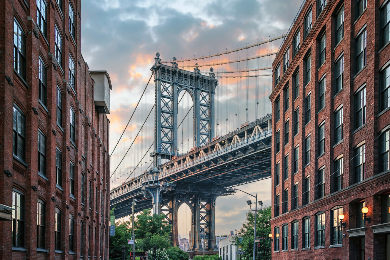 Manhattan Bridge Vista Wall Mural