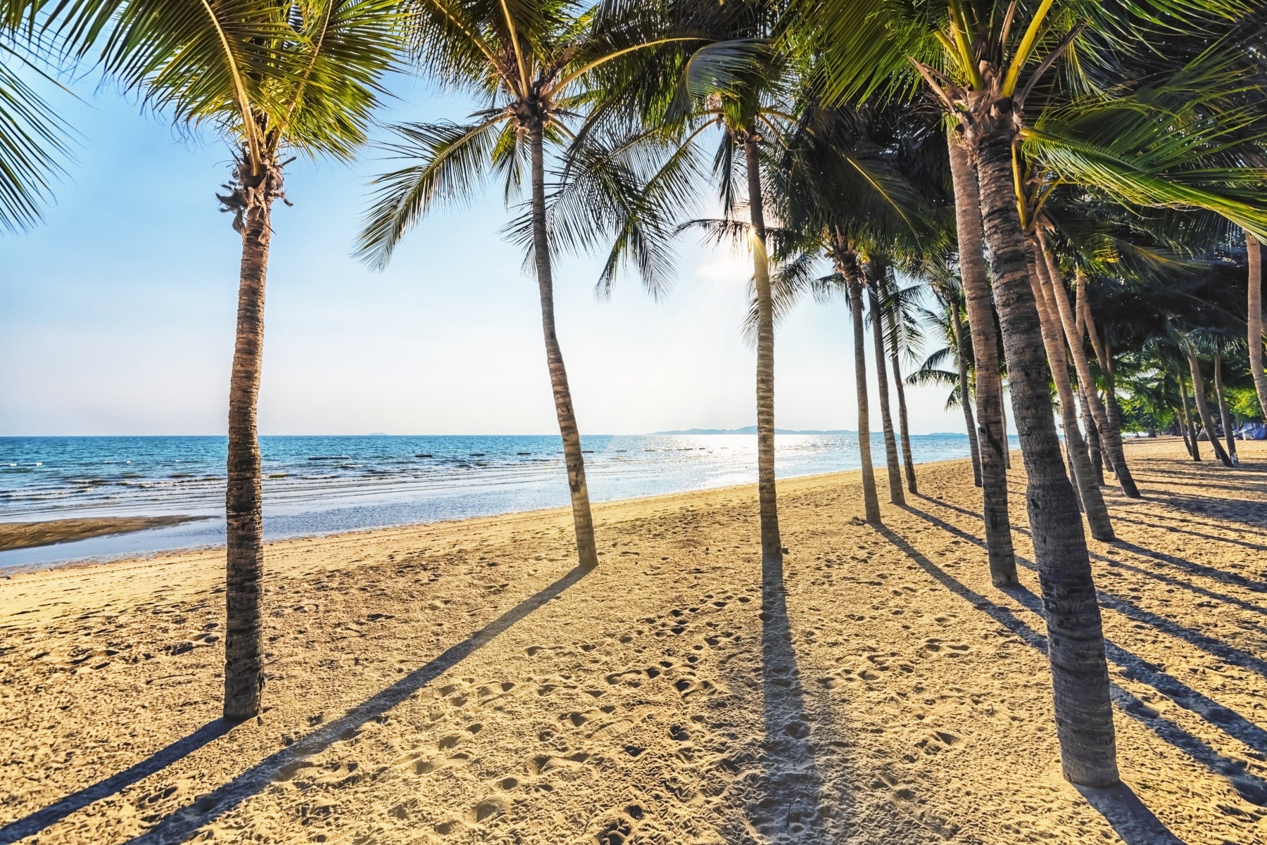 Golden Beach Palms wallpaper mural of palm trees on sand behind a wood dining table and beige chairs