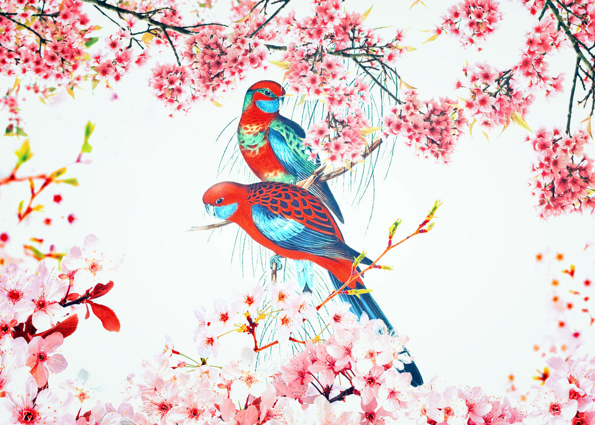 Blossom Birds Wall Mural in your room — zoomed