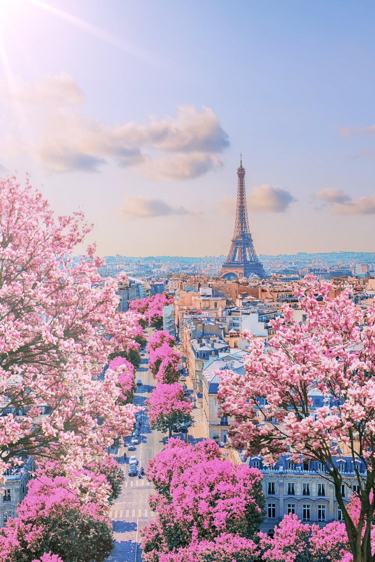 Parisian Spring Wall Mural in your room