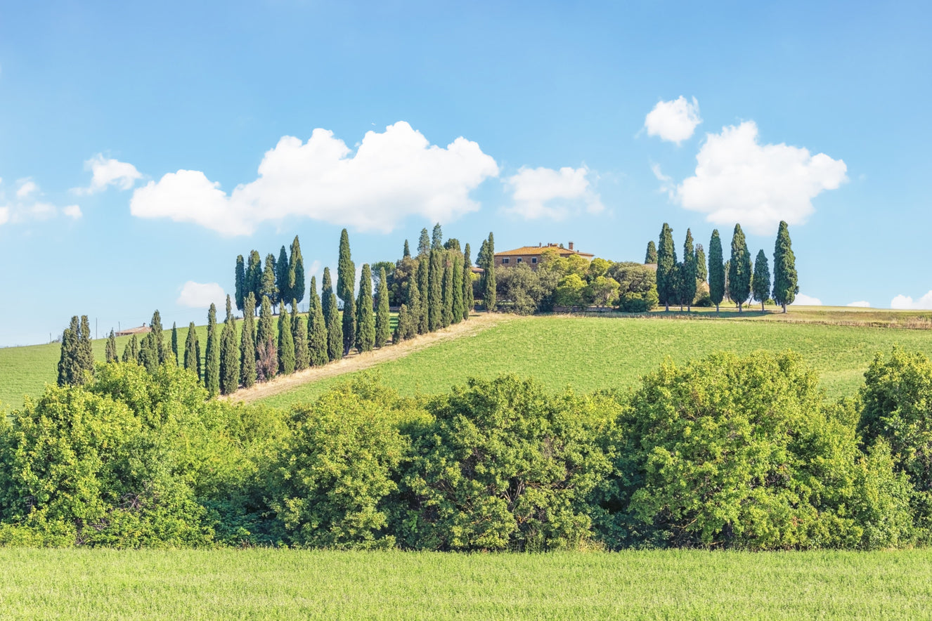 Tuscan Hillside Wall Mural