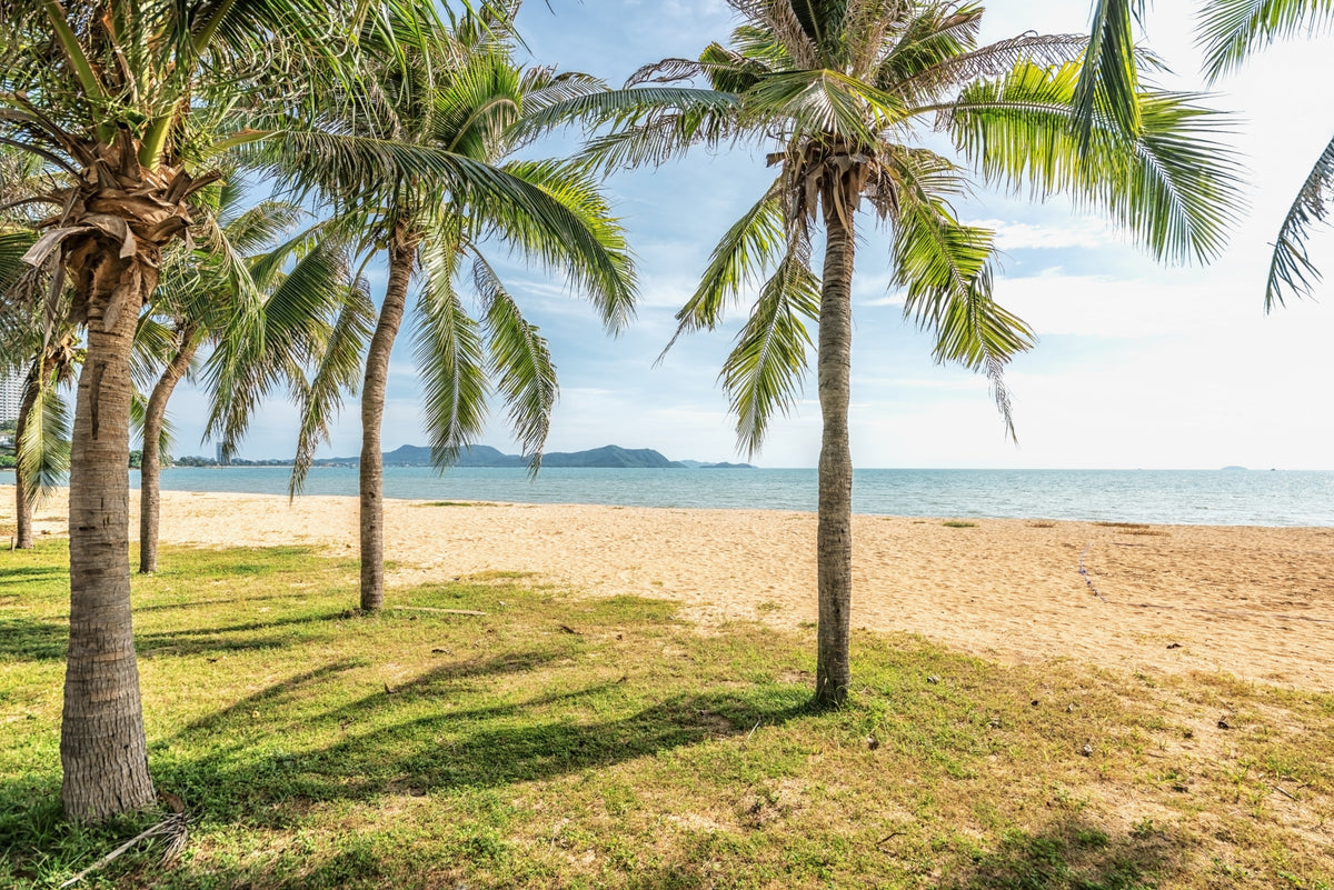 Tropical Beach Calm Wall Mural in your room