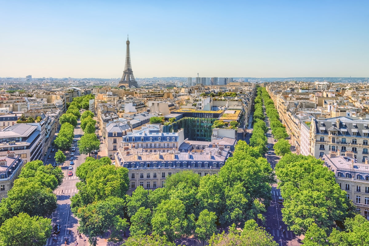 Parisian Heights Wall Mural in your room