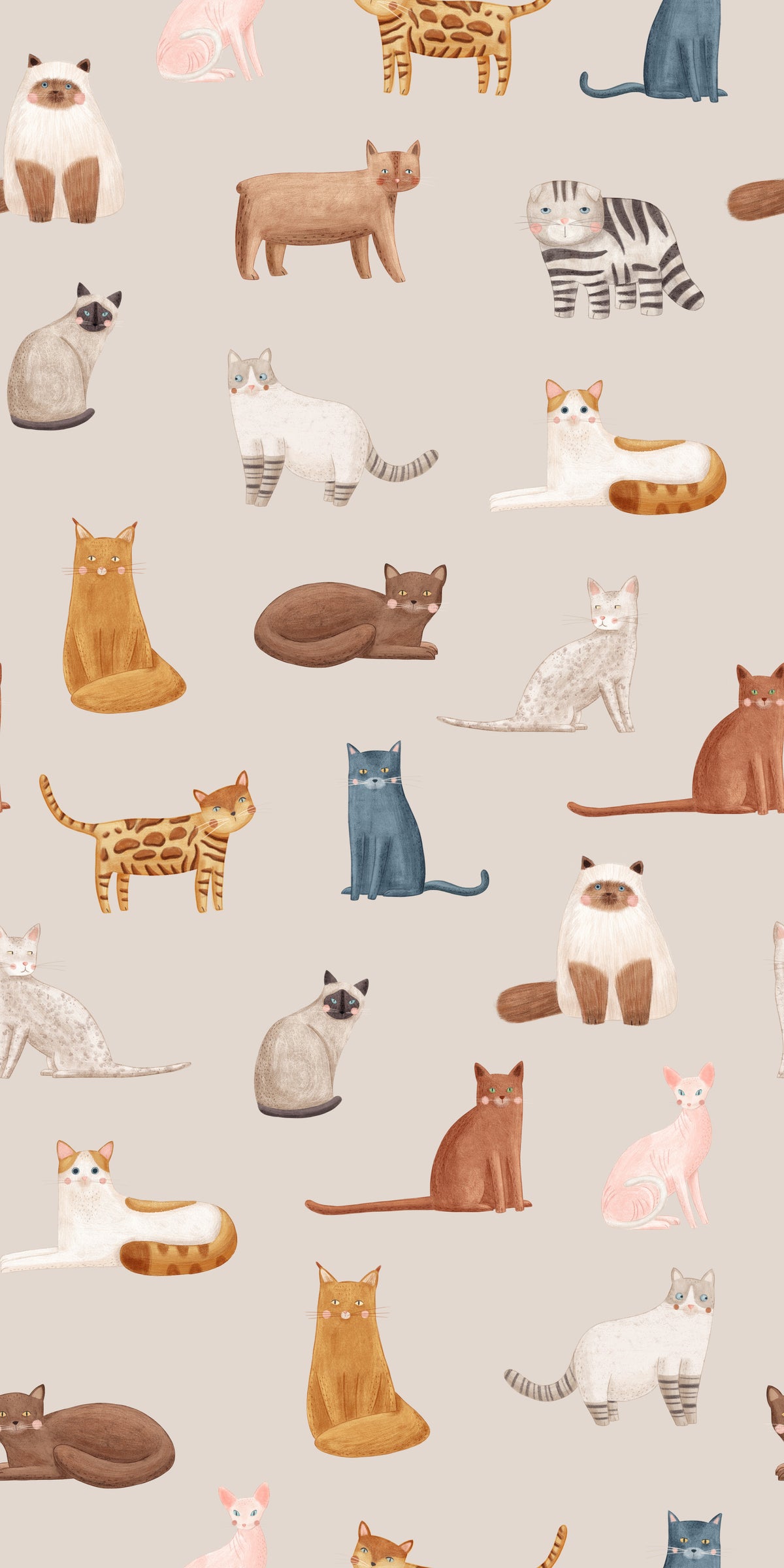 Purrfectly Pawsome Cats Wallpaper⁠ in your room — zoomed
