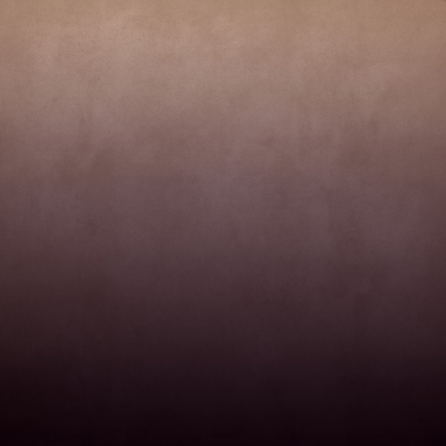 Dirty Paper -  Ombre Plum Wall Mural