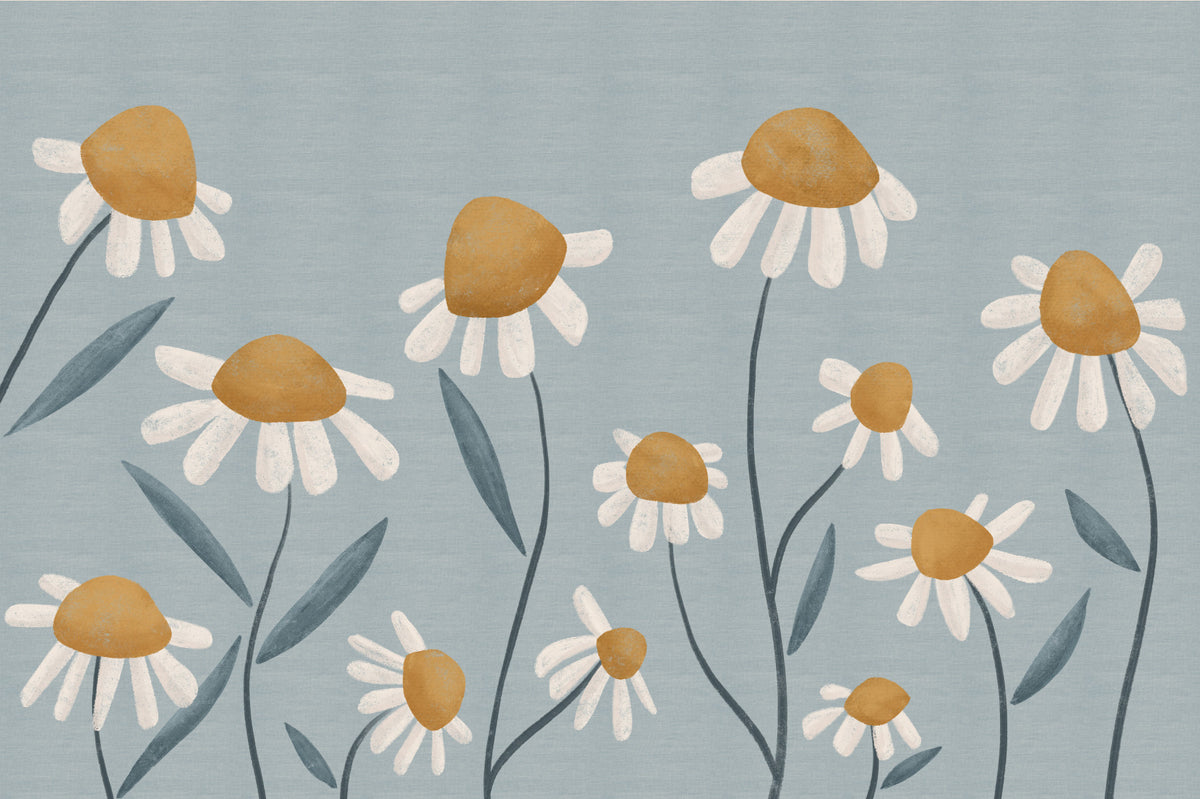 Sunny Daisy Field Wall Mural in your room