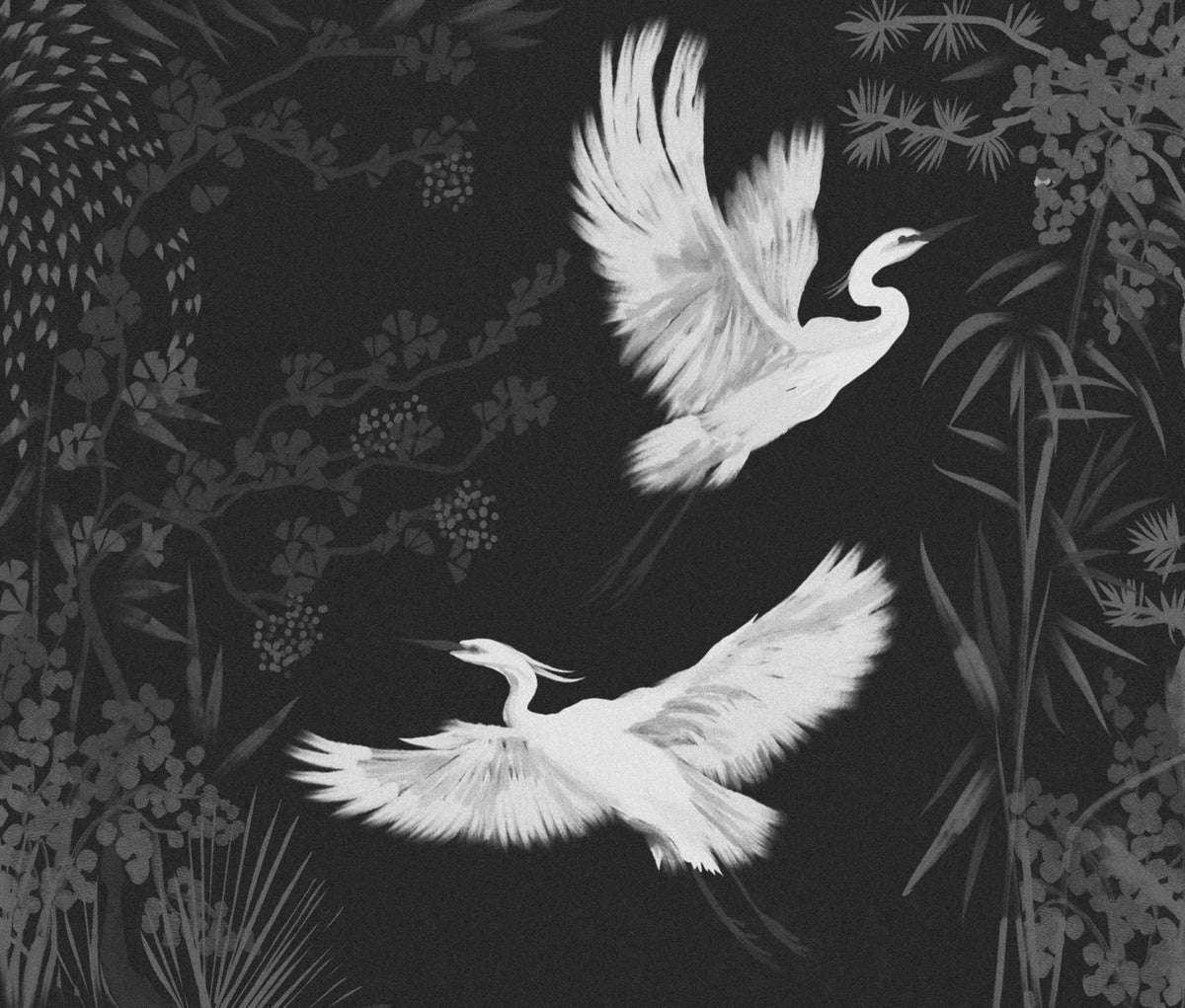 Night Heron's Grace Wall Mural in your room