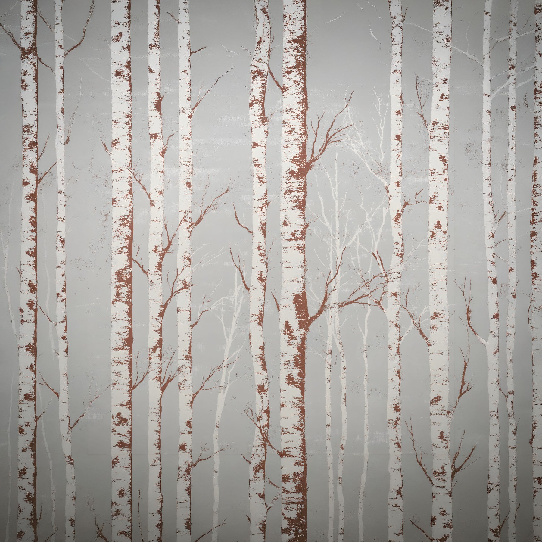 Winter Birch Beauty wallpaper mural of white birch trunks on grey behind a grey bed with a knit throw in a bedroom