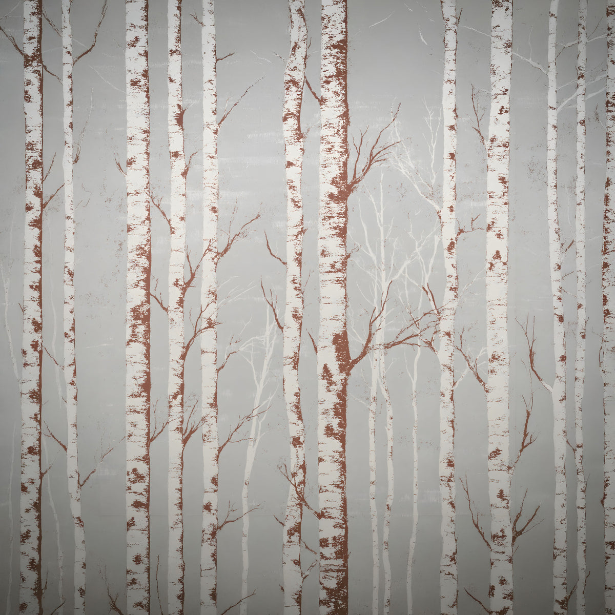 Winter Birch Beauty Wall Mural in your room — zoomed