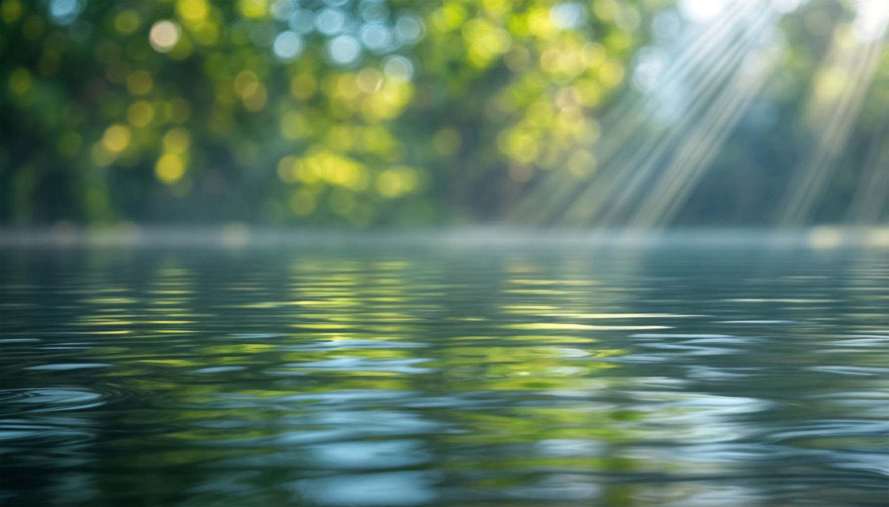 Sunlit Waters Wall Mural