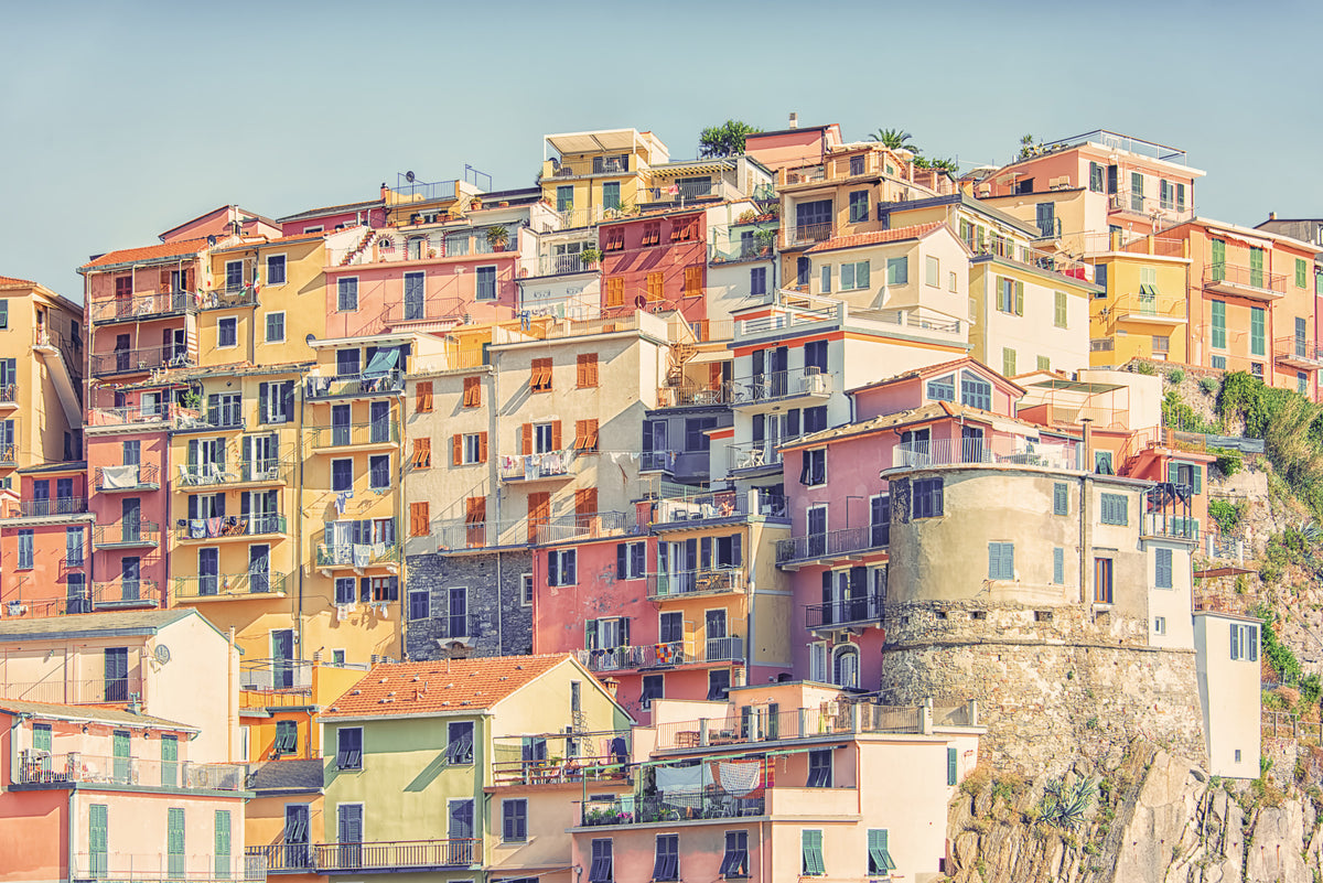 Manarola Vista Wall Mural in your room — zoomed