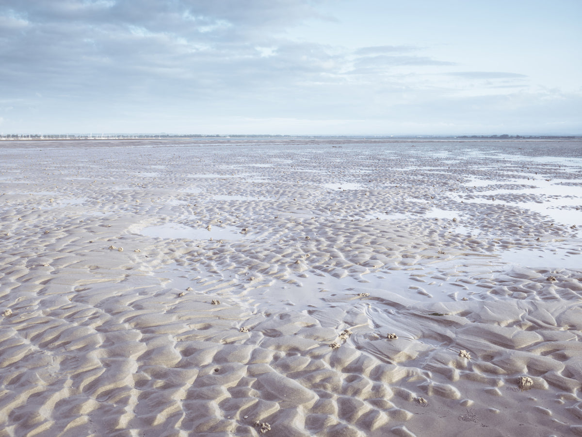 Shoreline Serenity Wall Mural in your room — zoomed