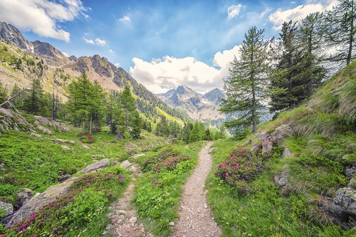 Alpine Trail Wall Mural