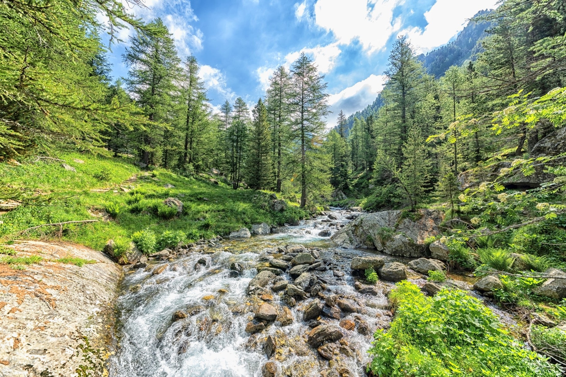 Alpine Stream Wall Mural