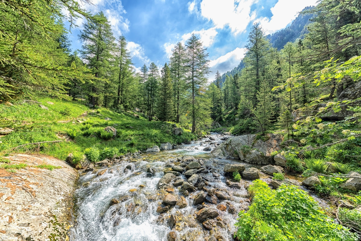 Alpine Stream Wall Mural in your room — zoomed