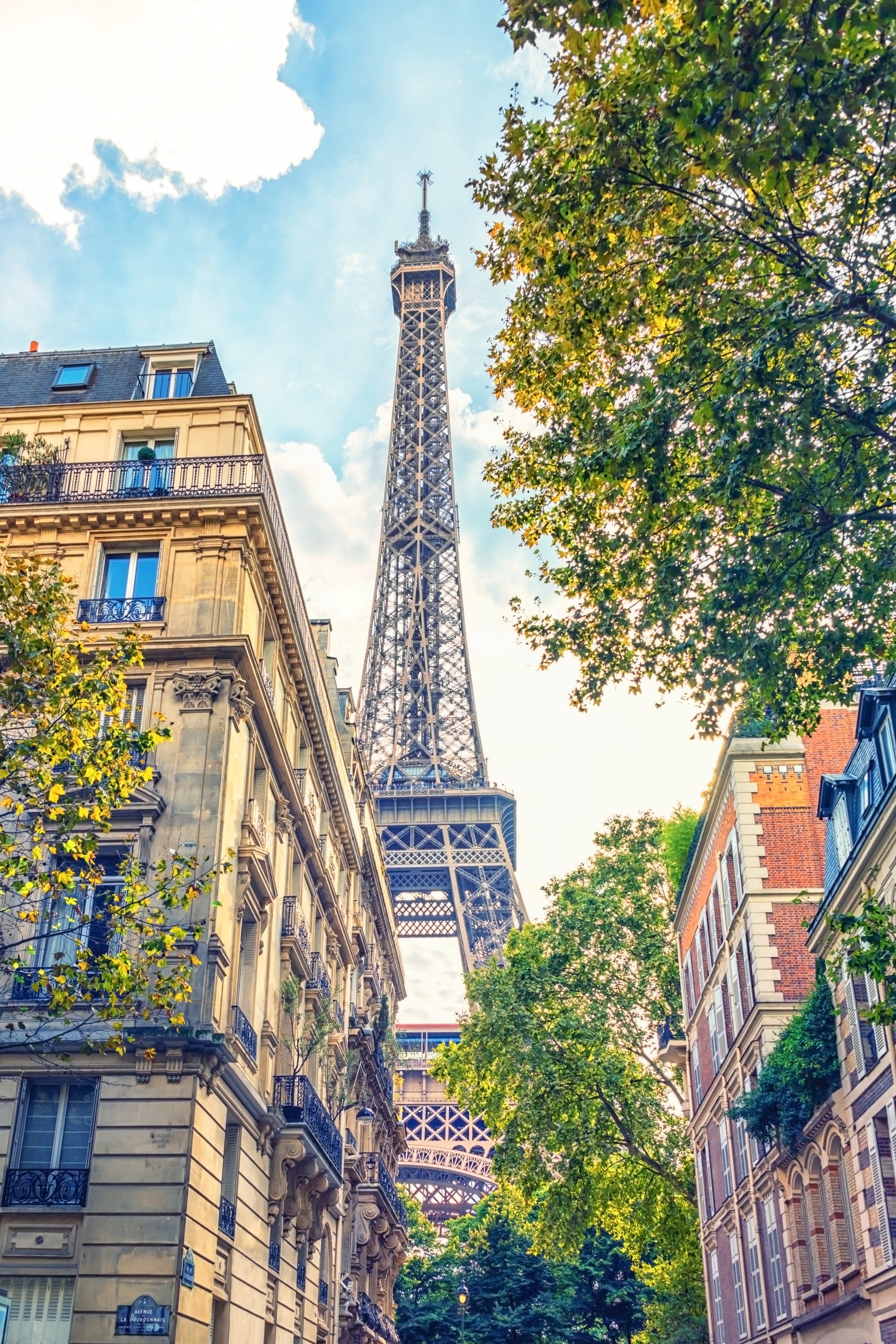 Eiffel Elegance Wall Mural