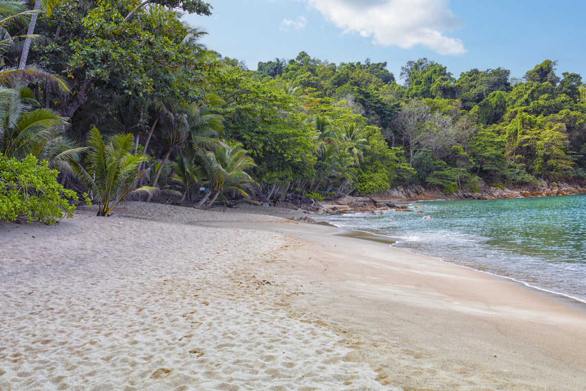 Tropical Beach Haven Wall Mural in your room