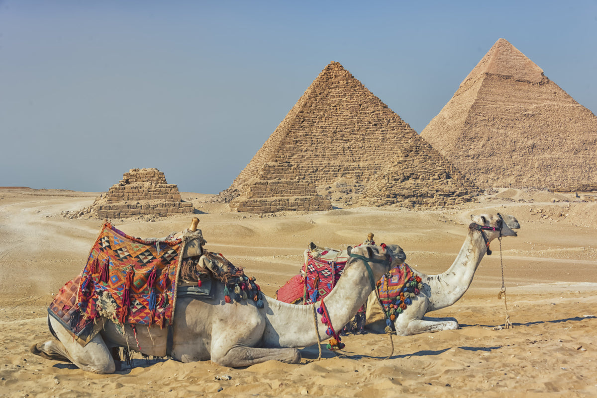 Giza Wall Mural
