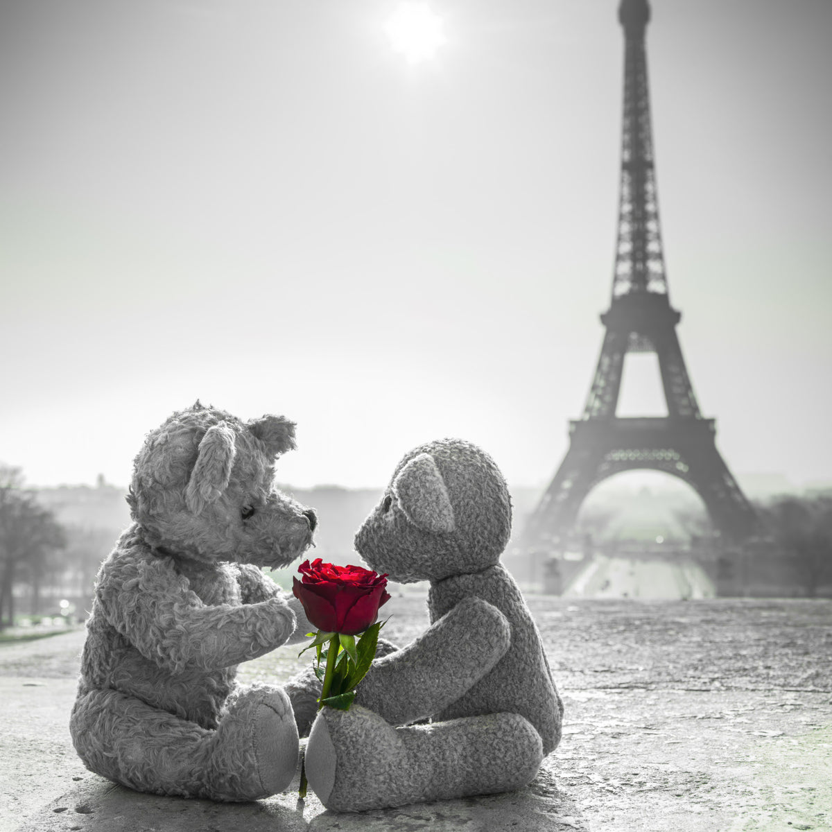 Teddy Bears in Love Wall Mural in your room — zoomed