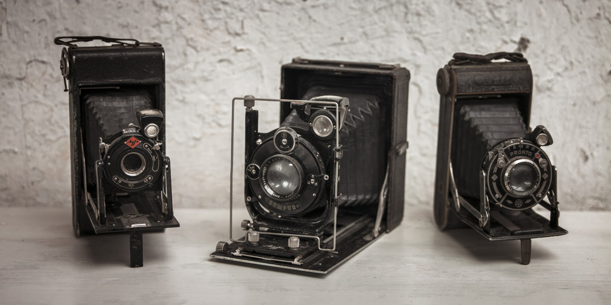 Vintage Camera Trio Wall Mural in your room — zoomed