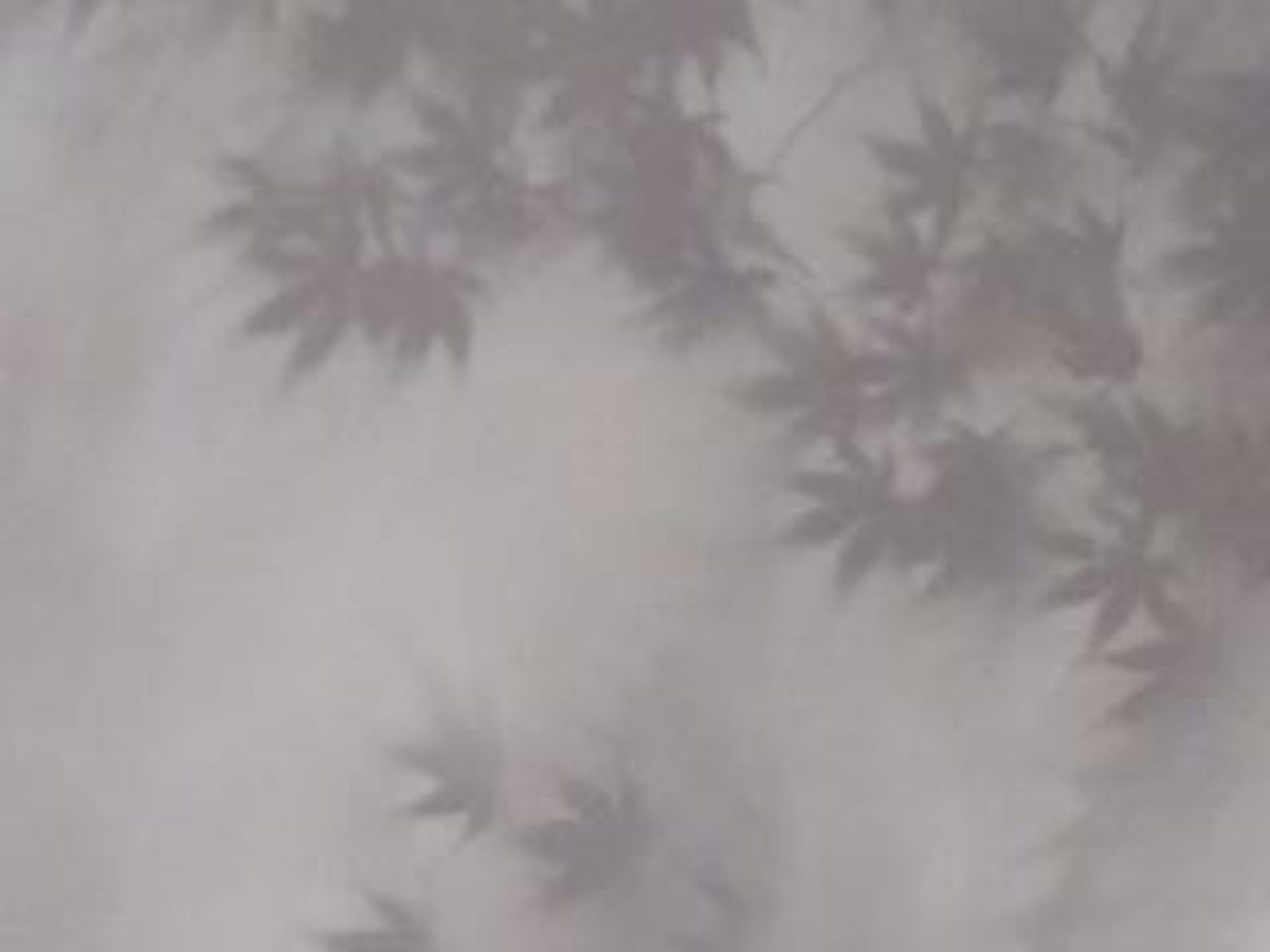 Soft Foliage Haze Wall Mural in your room — zoomed